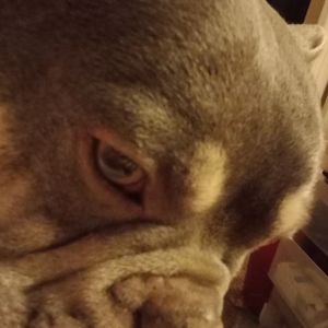 Meet your Posher, Becky